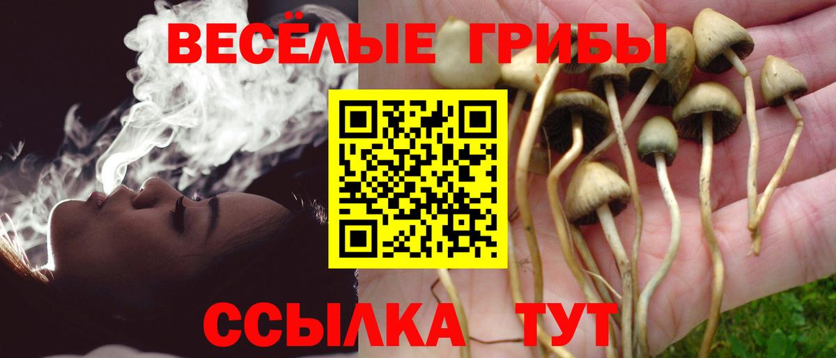 Псилоцибиновые грибы прущие грибы  Вход с VPN  Армавир  Галлюциногенные грибы ЛСД 