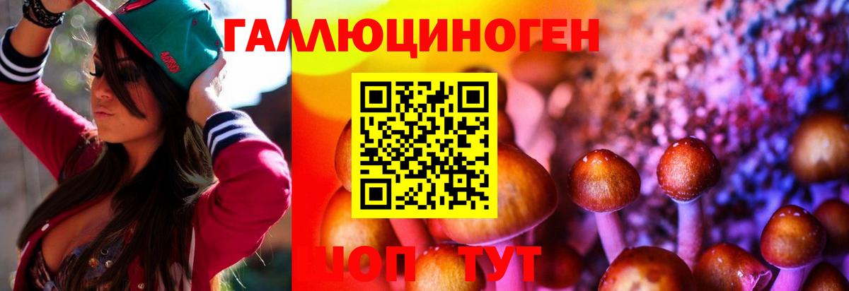 Галлюциногенные грибы MAGIC MUSHROOMS Армавир